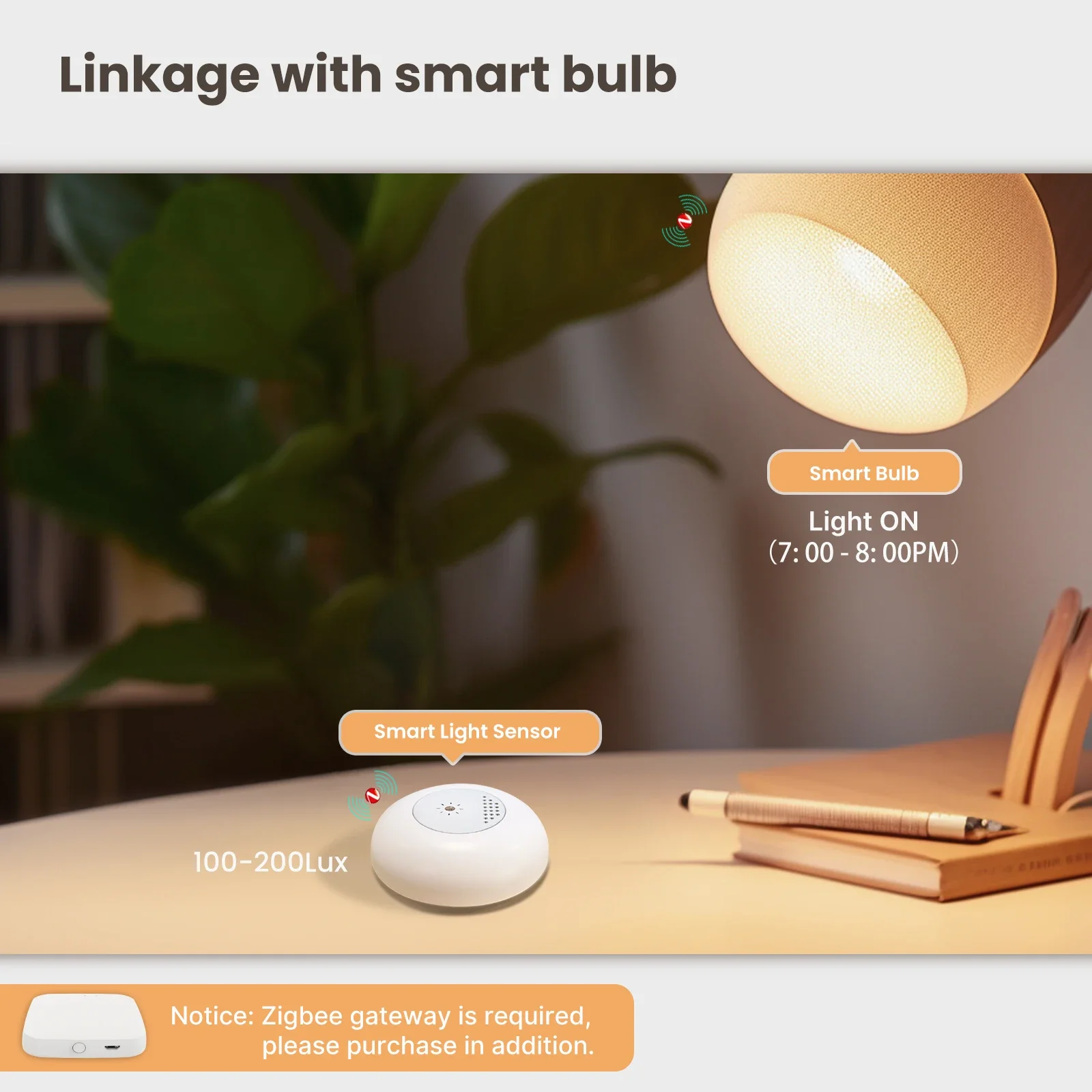 MOES Tuya Zigbee مستشعر الضوء  - مراجعة Smart Home Moes وسعره